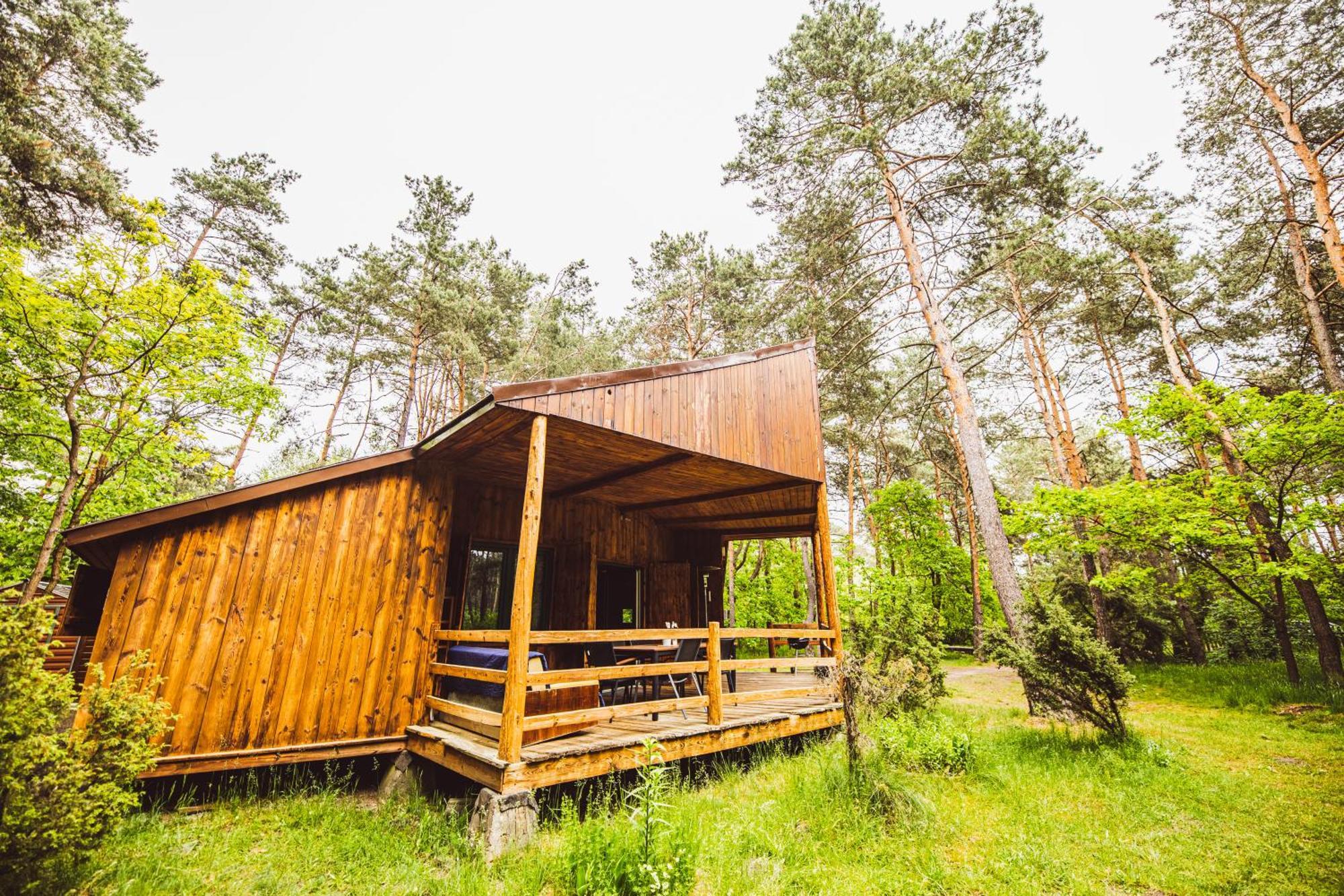 Cozy Nature Retreat With Patio Fireplace Garden Maciejowice Bagian luar foto