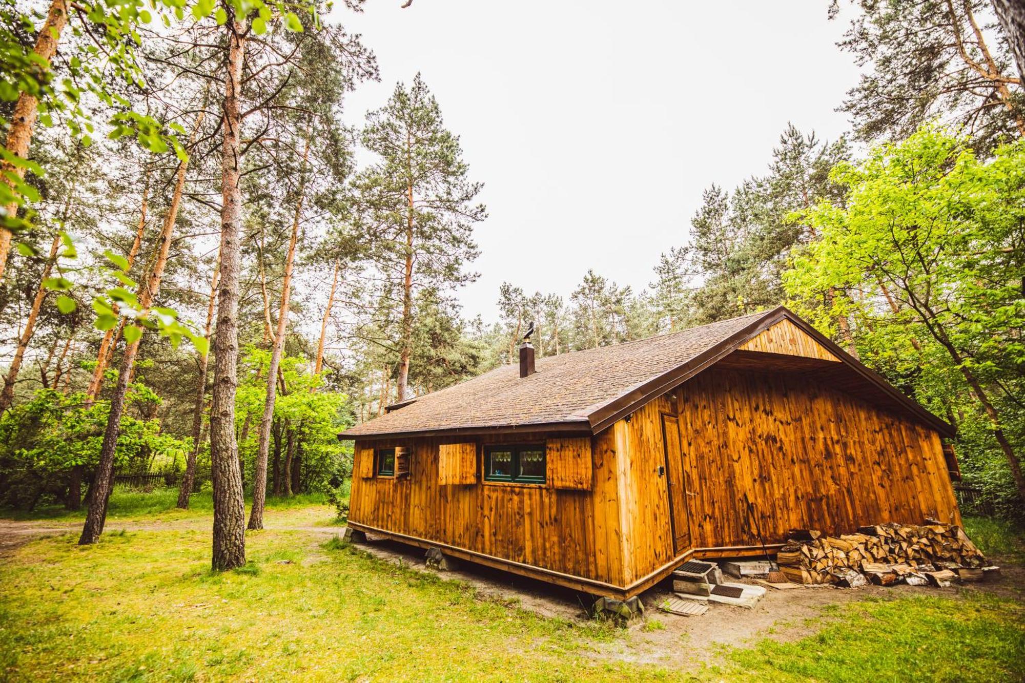 Cozy Nature Retreat With Patio Fireplace Garden Maciejowice Bagian luar foto