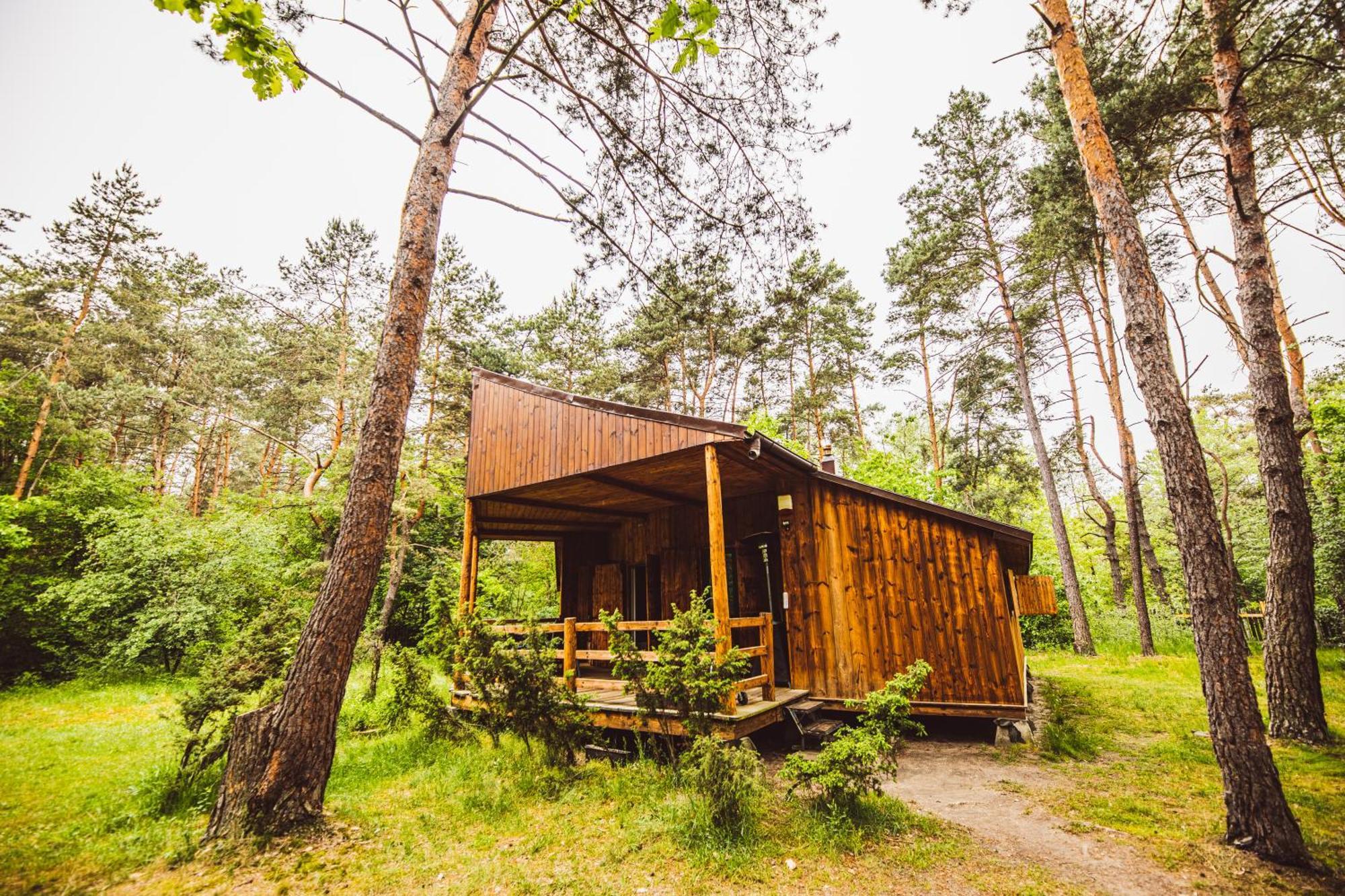 Cozy Nature Retreat With Patio Fireplace Garden Maciejowice Bagian luar foto