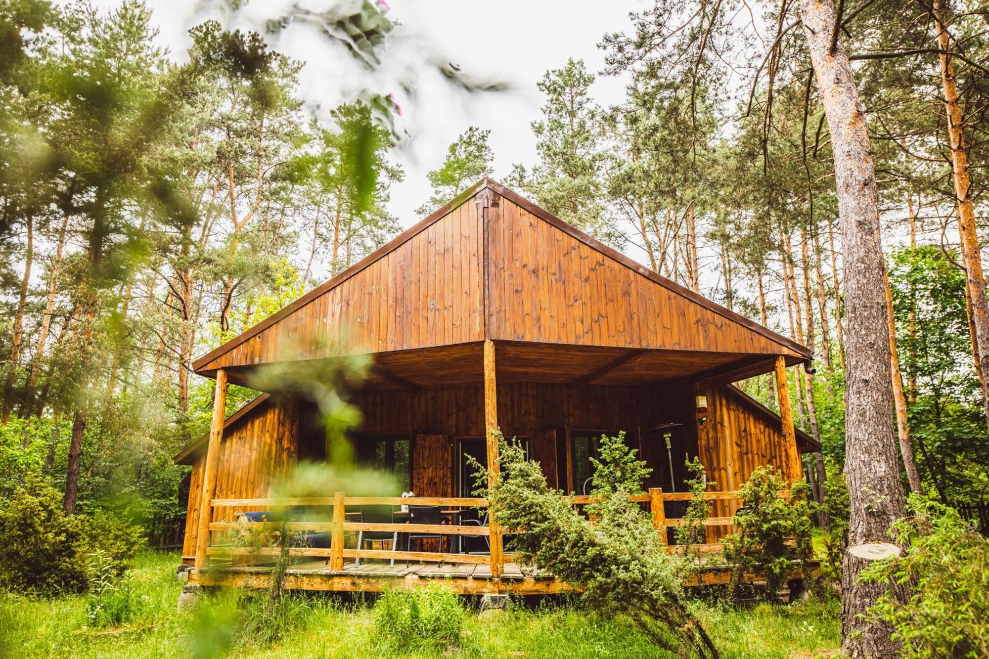 Cozy Nature Retreat With Patio Fireplace Garden Maciejowice Bagian luar foto